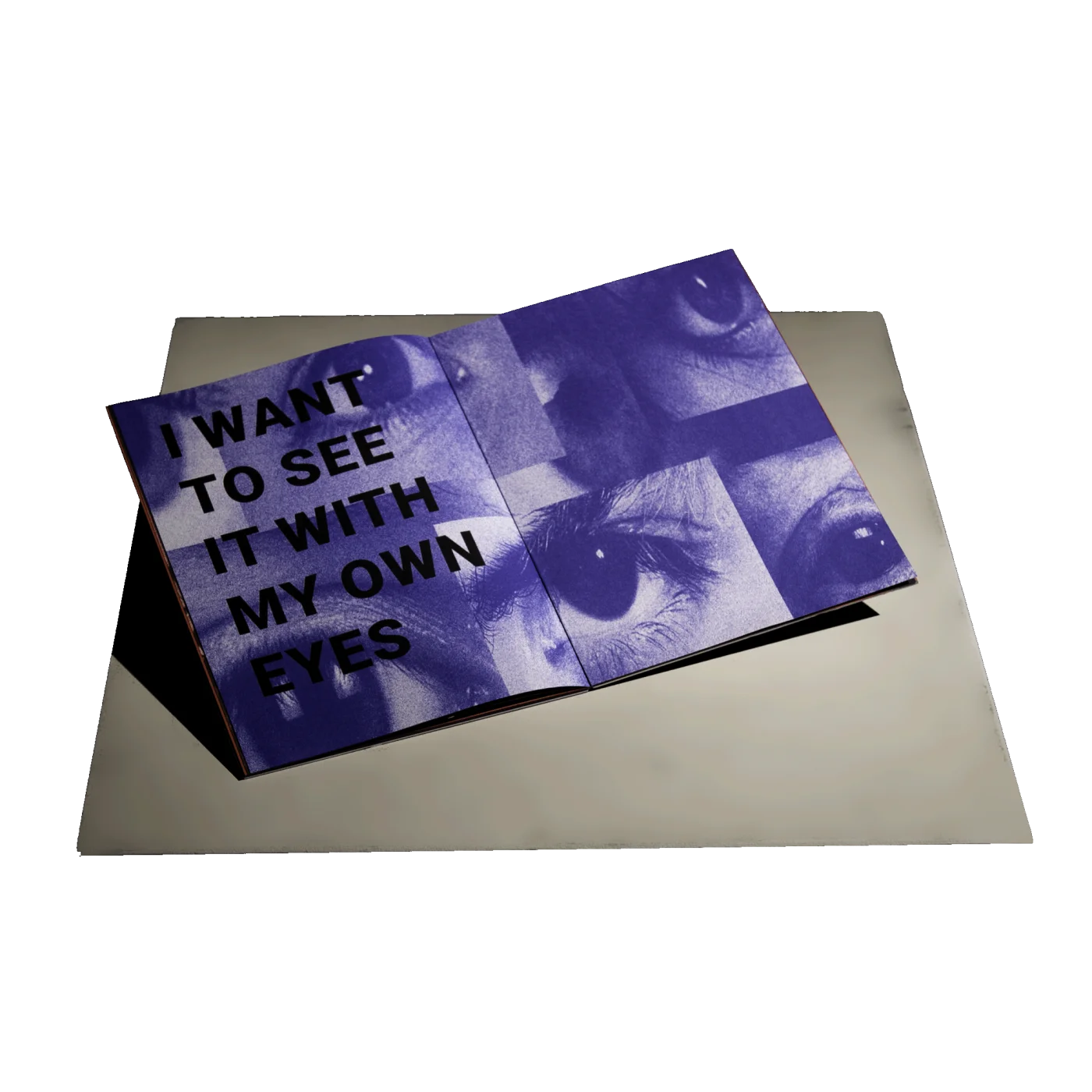 Escape the Skinner Box publication, cover mockup
