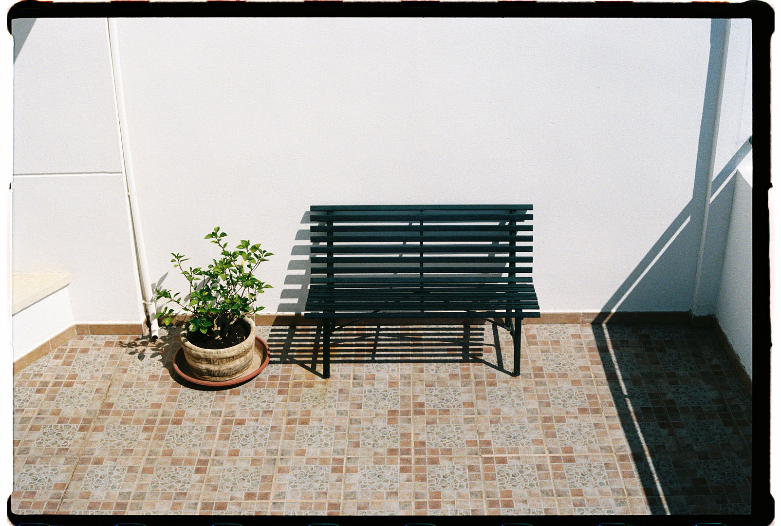 Photo dump 24