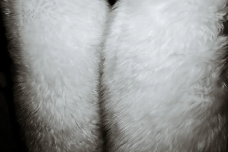 Close-up van witte vacht